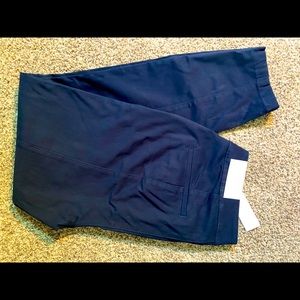 NWT LOFT Curvy Skinny Ankle Pants - size 6